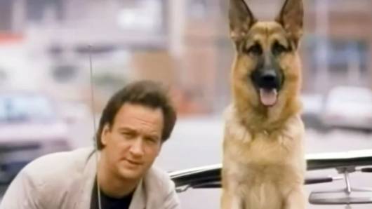 Cena do filme K9, um policial bom para cachorro. Excelente filmes de cachorro.