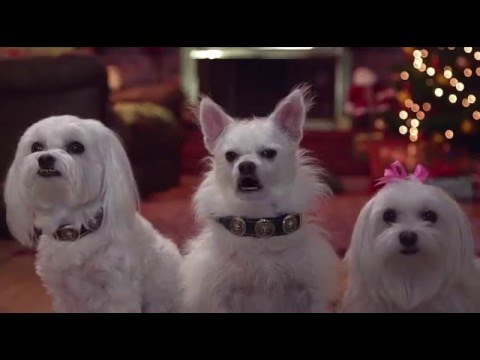 Cena do filme os três cães mosqueteiros.