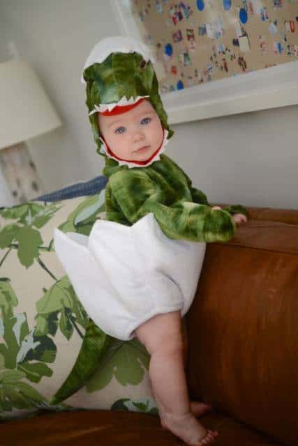 Criança vestida de dinossauro saindo do ovo.