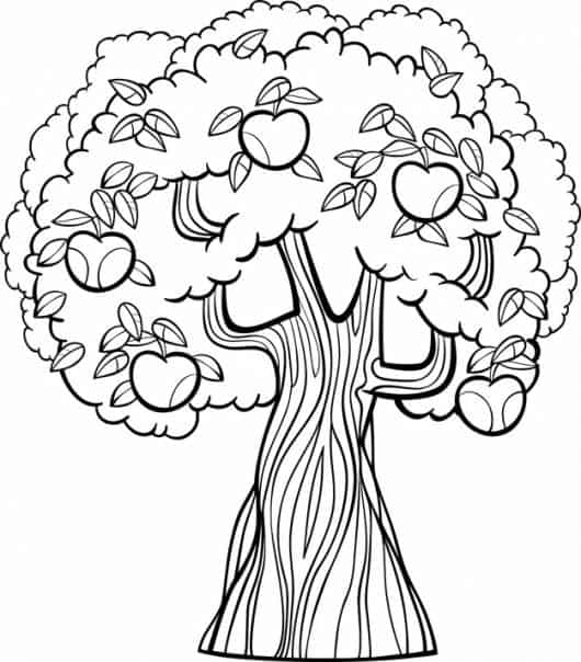 desenhos de frutas para colorir árvore de maça
