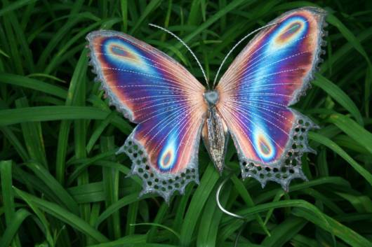 borboleta com asas coloridas