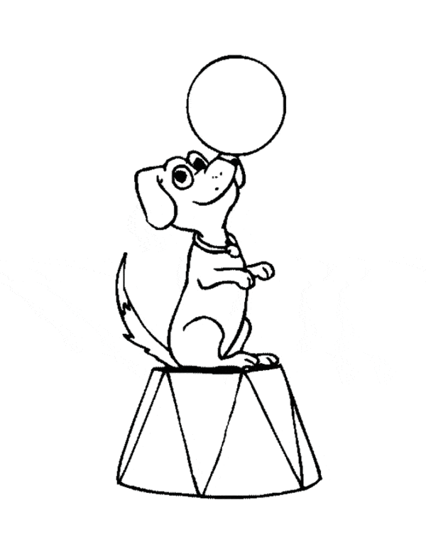 Cachorro de circo para colorir