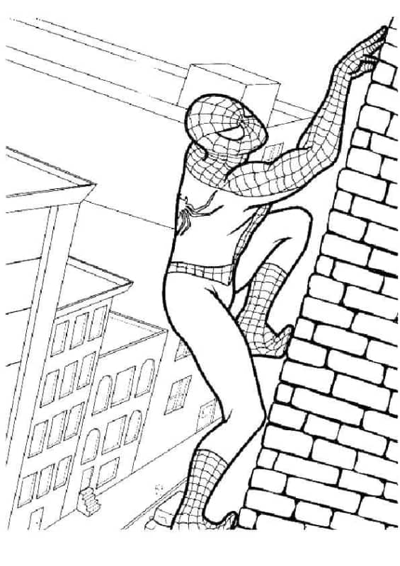 Homem Aranha escalando