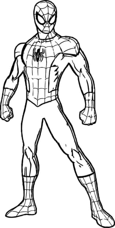 Spiderman para colorir