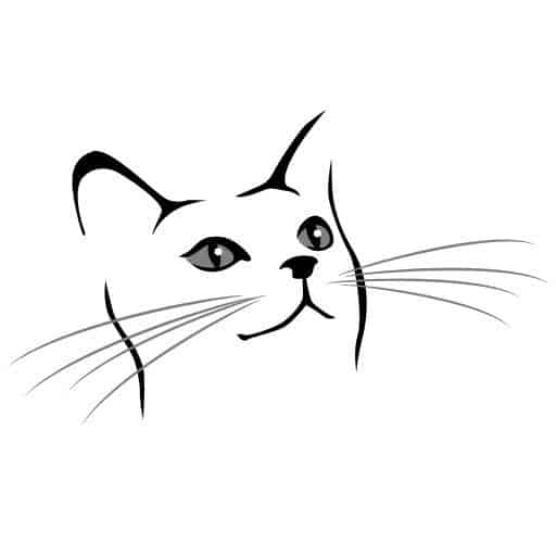 como desenhar face de gato
