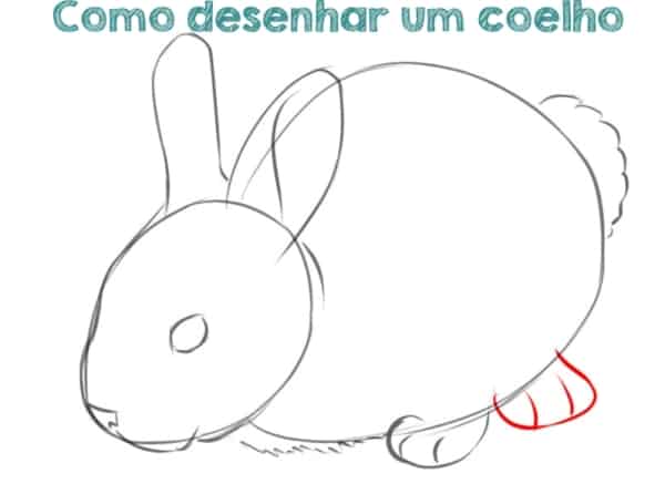 dicas e tutoriais de como desenhar um coelho