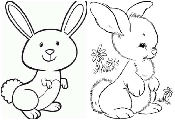 como desenhar coelho