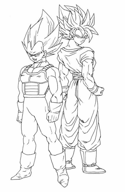 Goku e Vegeta