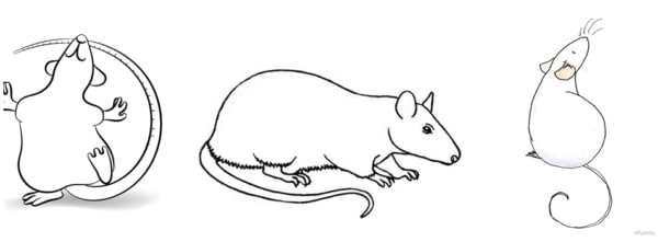 ideias simples para desenho de rato