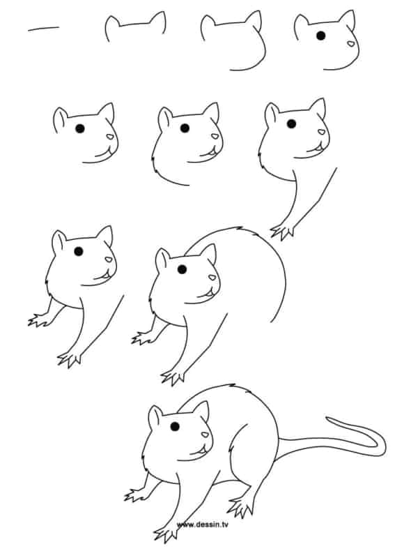 passo a passo para desenhar um rato