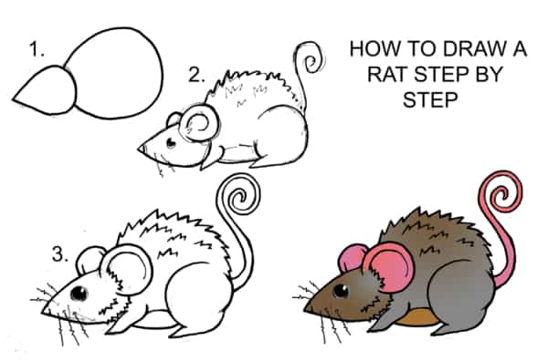 como desenhar um rato simples