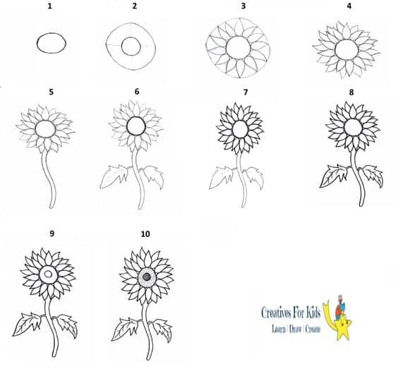 Como desenhar girassol passo a passo um