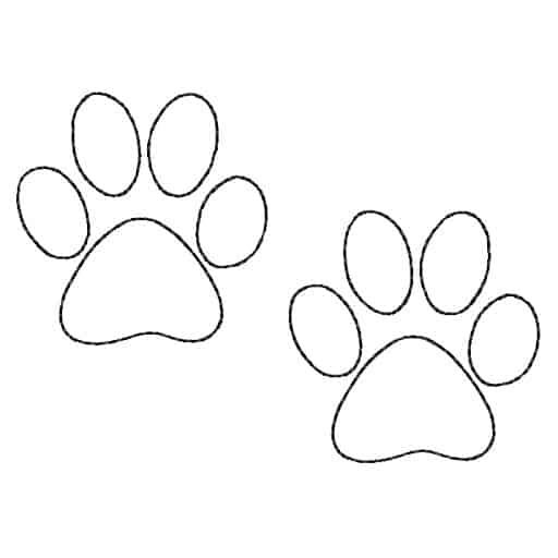 Como desenhar patinhas de cachorro
