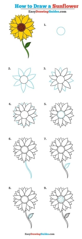 Dez etapas de como desenhar um girassol
