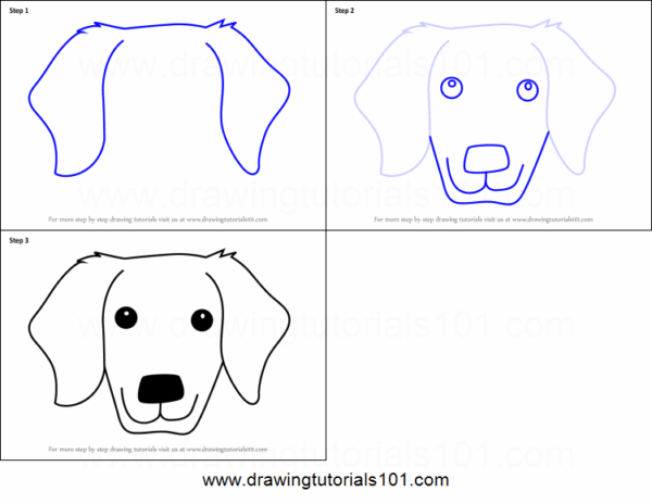 Maneira simples e rápida de desenhar um cachorro