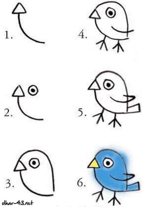Como desenhar animais passaro