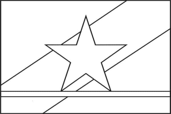 bandeira de Roraima para pintar
