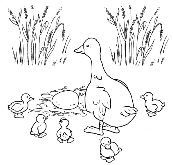 desenho de familia pato para colorir
