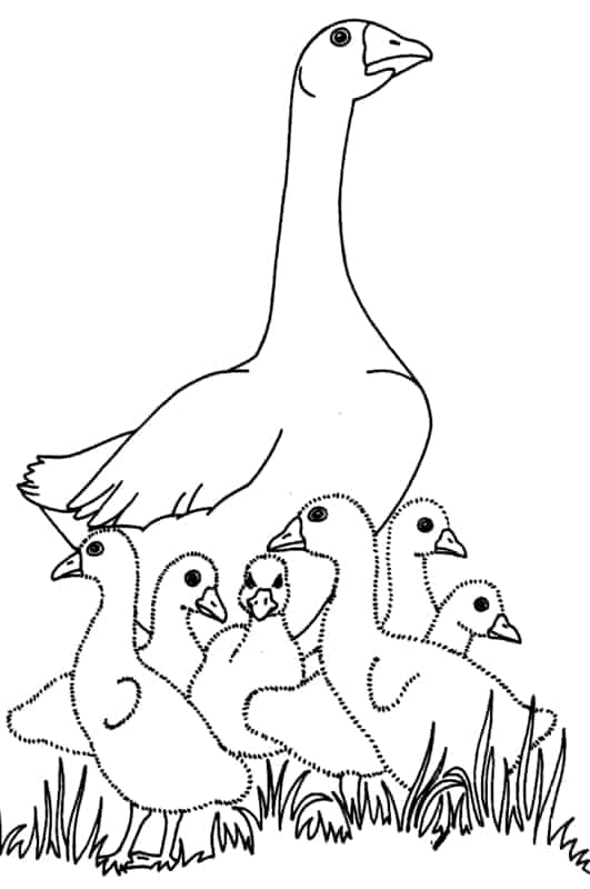 desenho de mae pato com filhotes para pintar