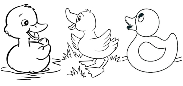 desenhos simples de pato para colorir