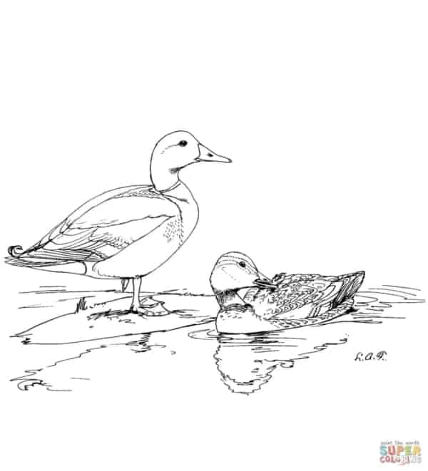 desenho de patos na lagoa para imprimir