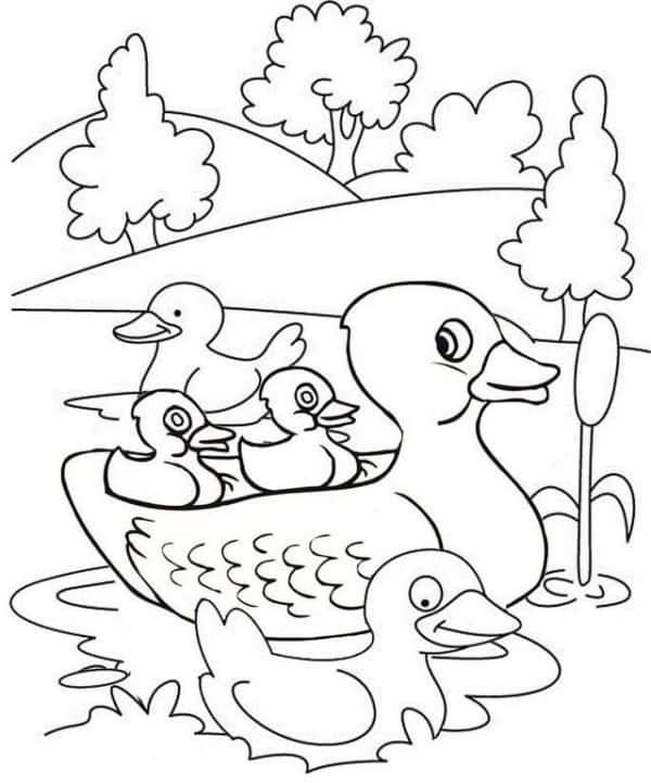 desenho de pato na lagoa para imprimir gratis