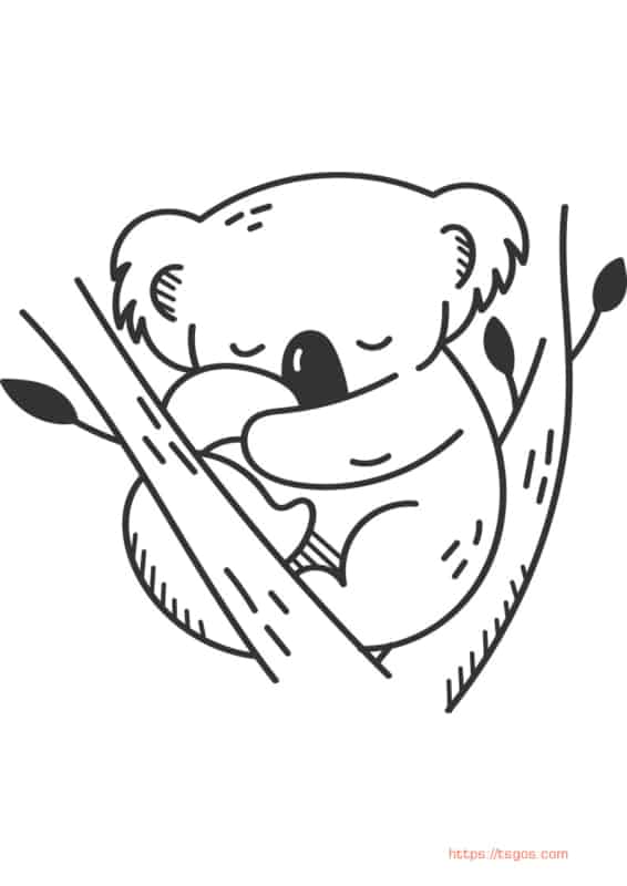 desenho de coala fofo