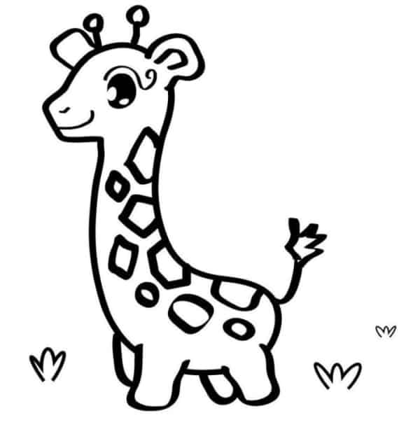 desenho de girafa