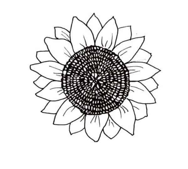 desenho de flor de girassol para imprimir