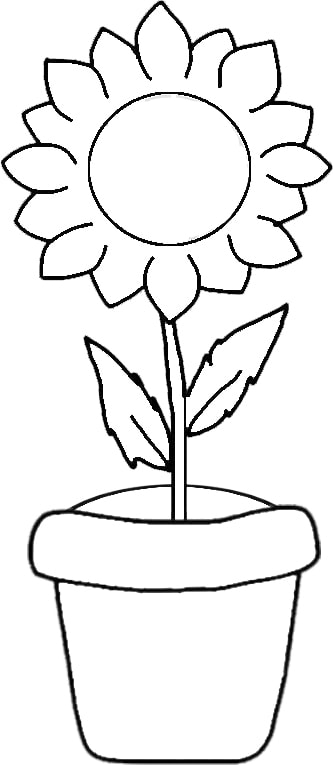 desenho simples de girassol em vaso para pintar