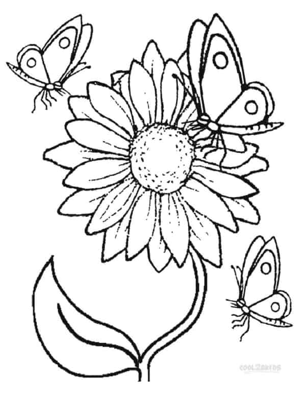 flor de girassol com borboletas para pintar