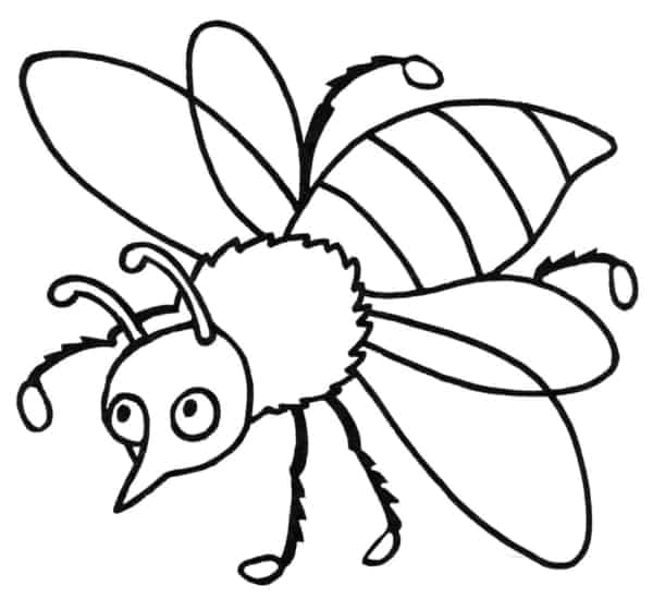 18 atividade de abelha para imprimir e pintar