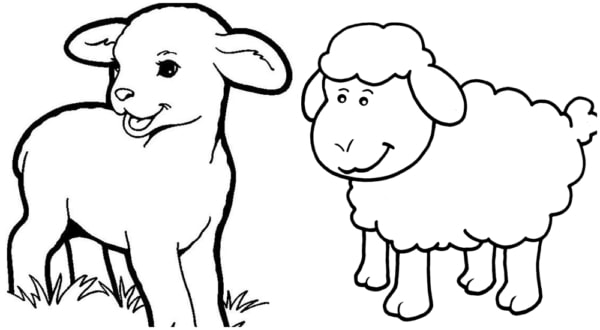 10 desenhos simples de ovelhas