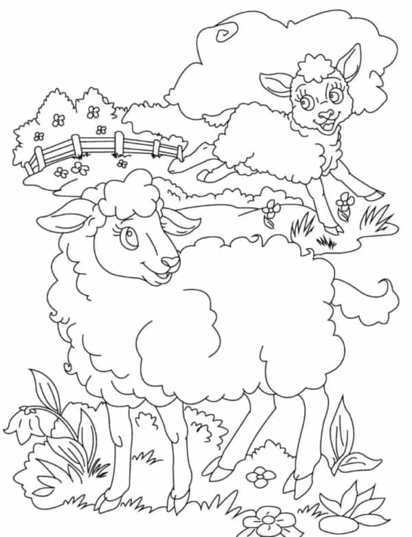 23 ovelhas no campo para imprimir e pintar