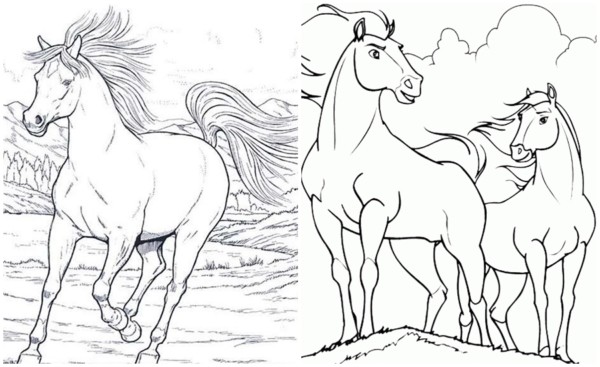 60 desenhos de cavalos selvagens para colorir