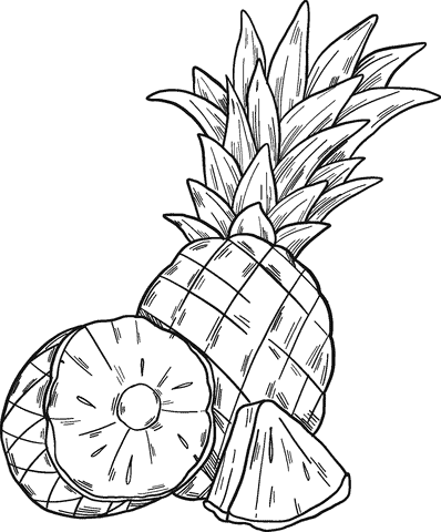 15 desenho de abacaxi cortado para colorir