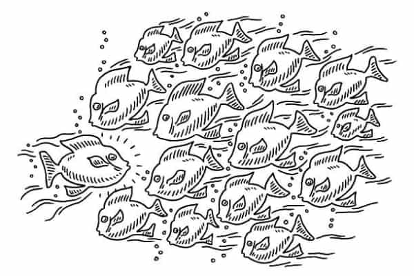 22 desenho de peixes para imprimir e colorir