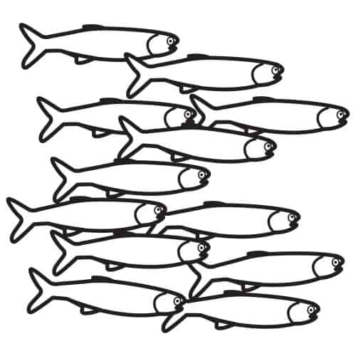 26 desenho simples de cardume de peixes