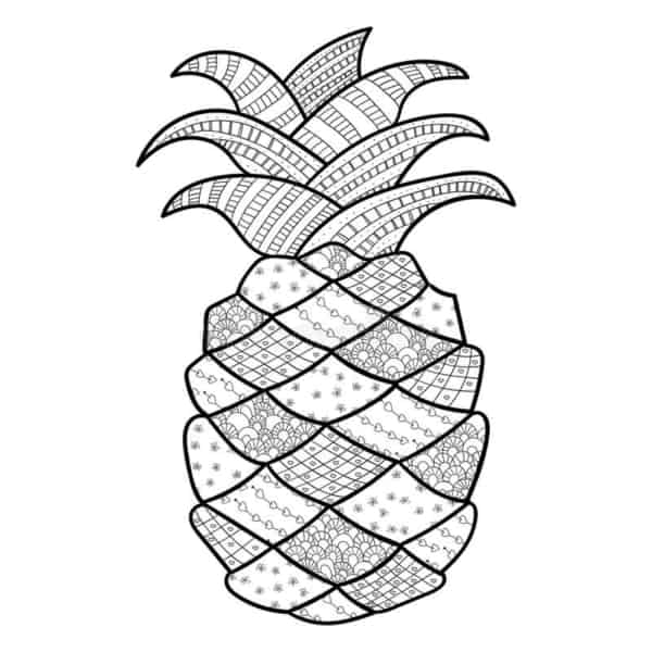 28 desenho de abacaxi com detalhes para pintar
