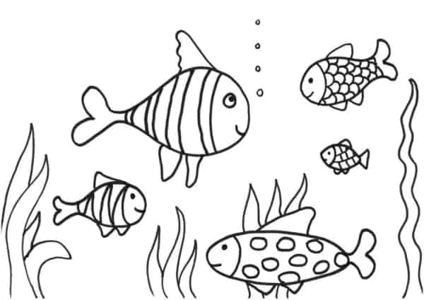 33 desenho simples de peixes nadando para colorir
