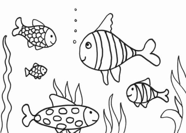 40 peixes nadando para imprimir gratis