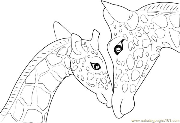 18 desenho fofo de girafa com filhote para colorir