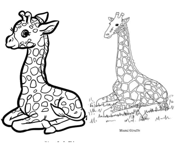 40 desenhos de girafas sentadas para colorir
