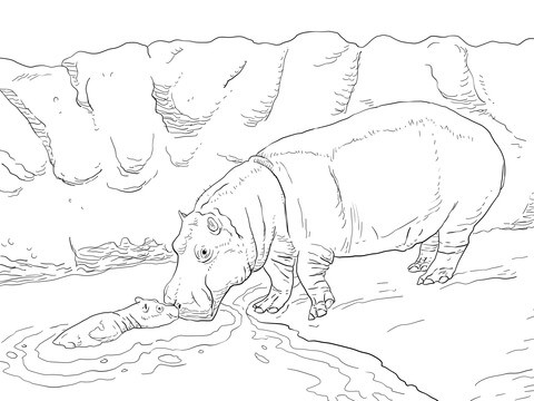 24 desenho gratis de hipopotamo Super Coloring
