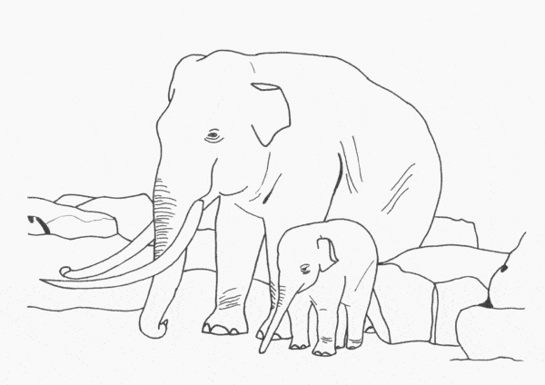 33 atividade para colorir com elefantes Best Coloring Pages For Kids