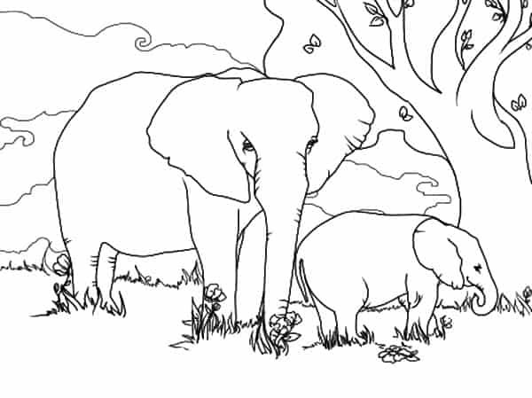 34 desenho de elefante grande com filhote Coloring Pages For Kids