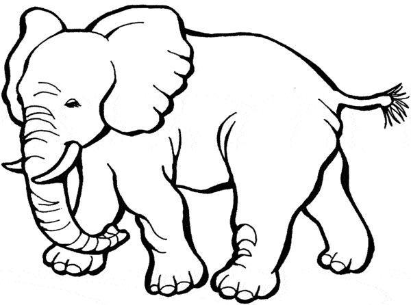 6 atividade de colorir de elefante simples Best Coloring Pages For Kids