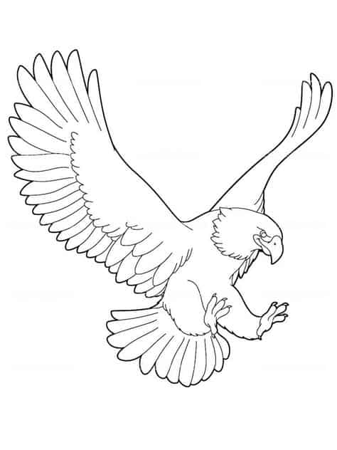 aguia para colorir asas