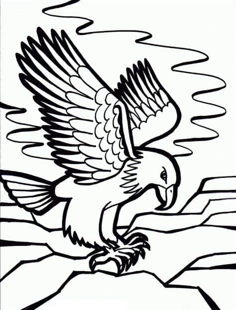 desenho de aguia 1