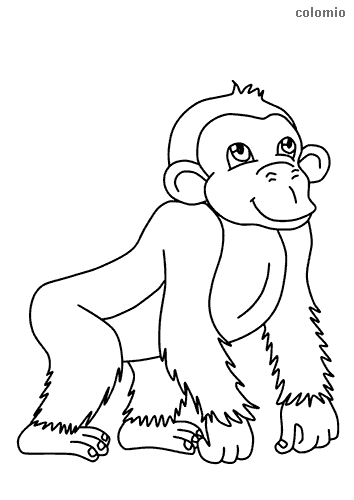 1 desenho simples de macaco colomio coloring pages
